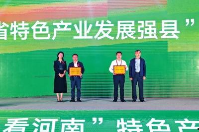 临颍新闻爆料最新消息,最新爆料揭示惊人真相！  第2张